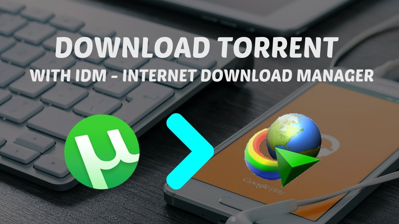 torrent to idm